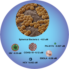 Size comparison of viruses and bacteria including COVID-19 coronavirus